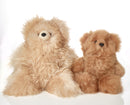 Teddy Bear Plushies