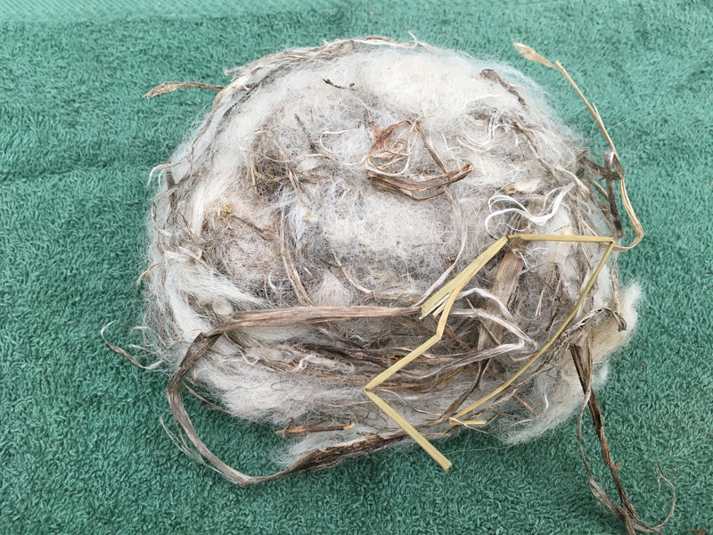 100% Alpaca Fibre Bird Nesting Balls