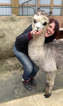 Allie's Alpacas